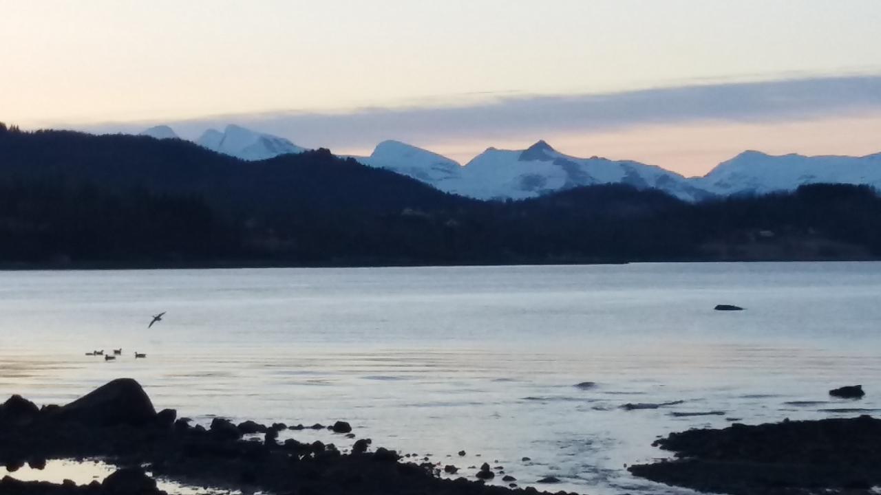 Fjord1