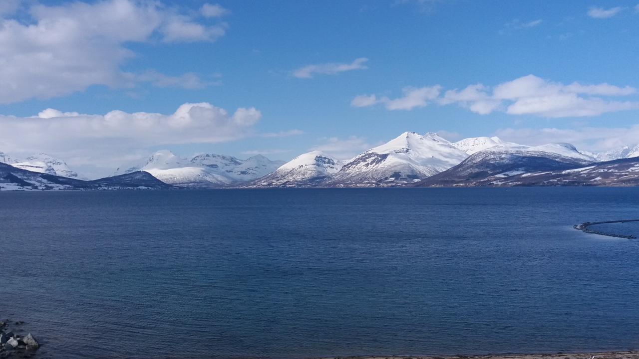 Fjord2