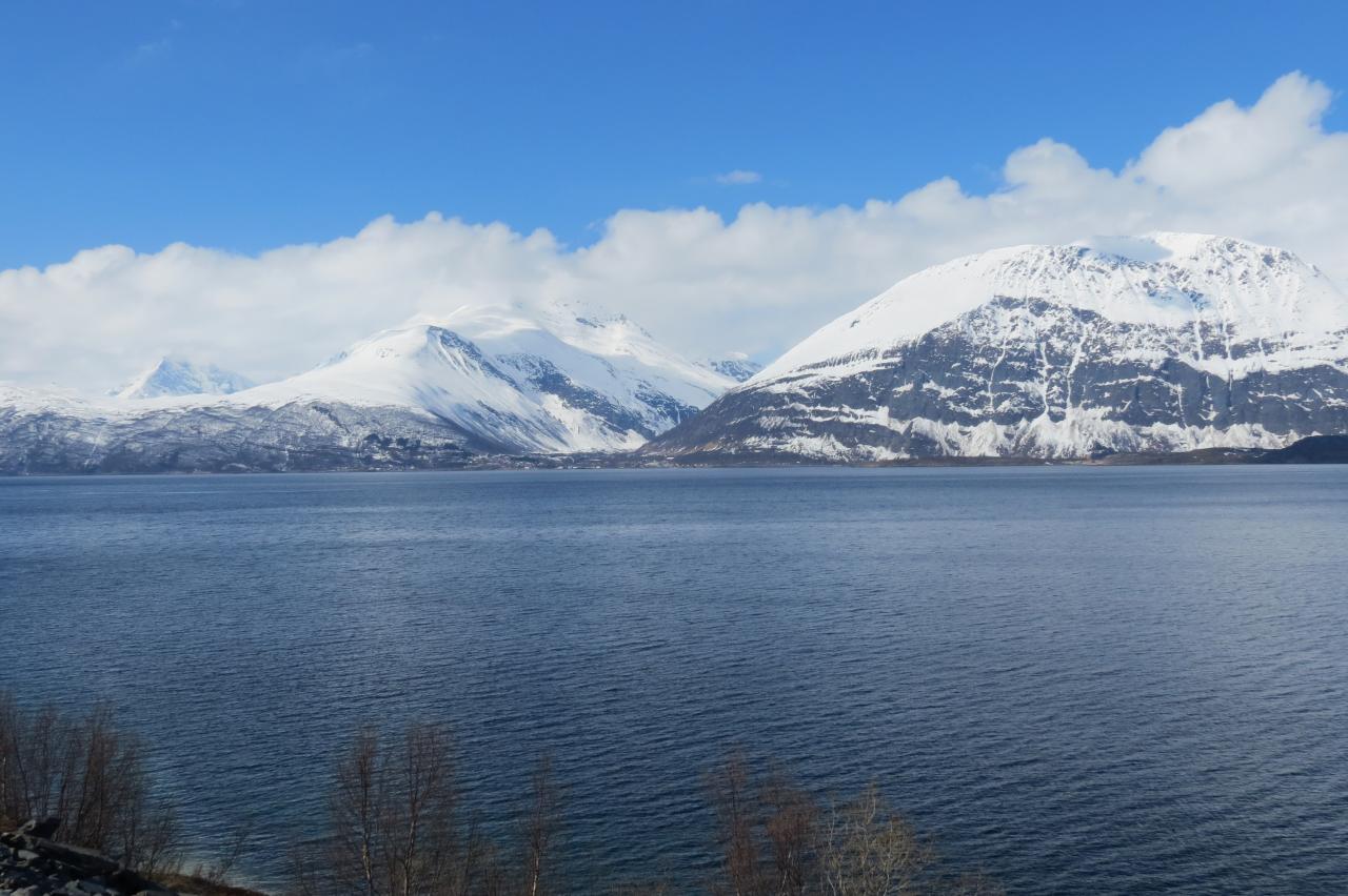 Fjord8