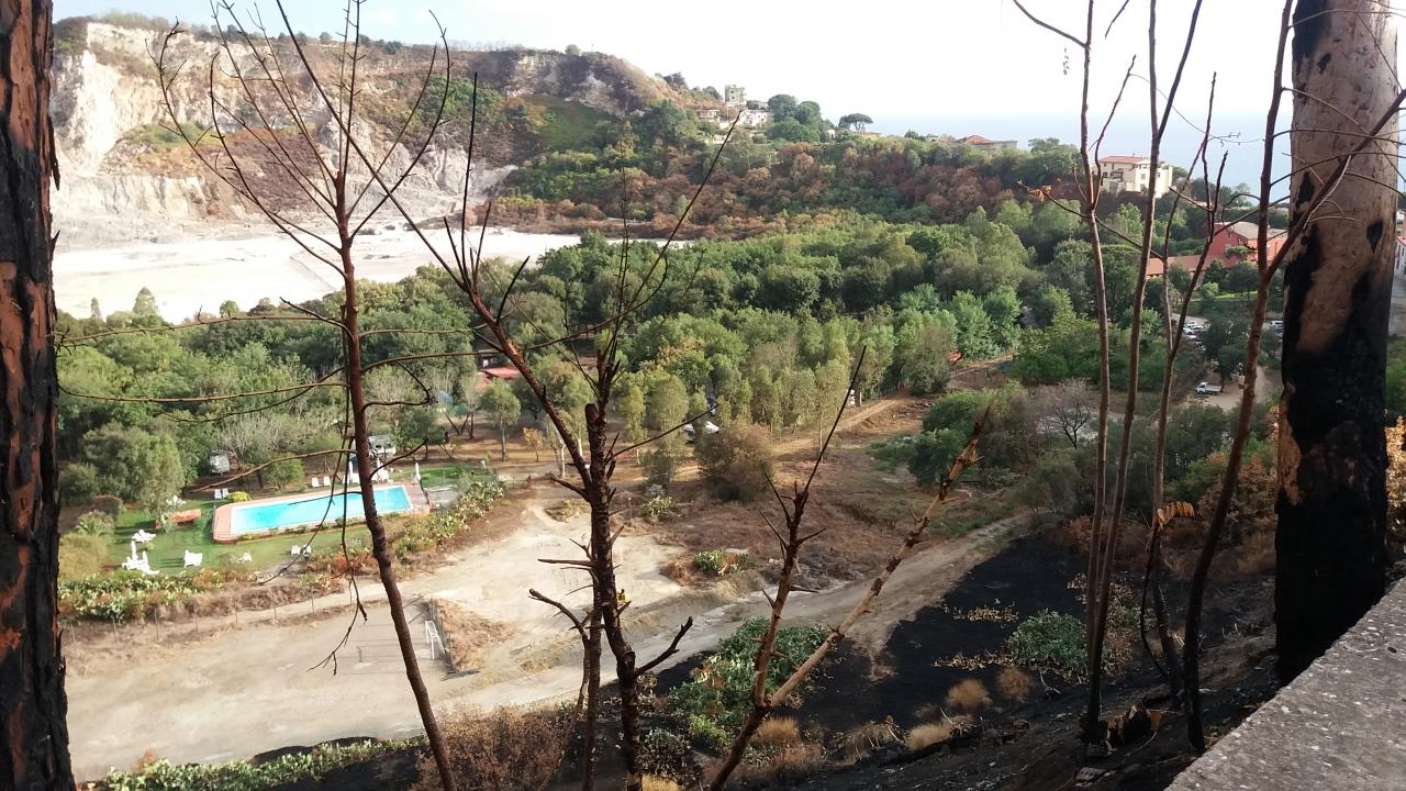 Solfatara 4